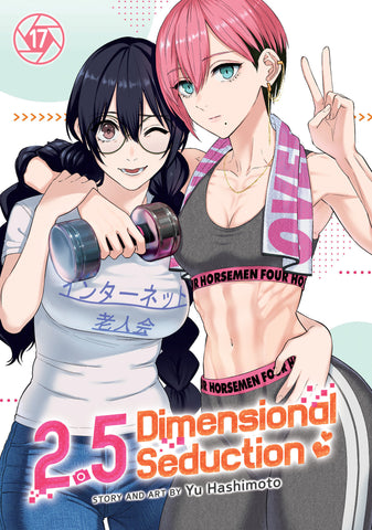2.5 Dimensional Seduction Vol. 17 (Trade Paperback)